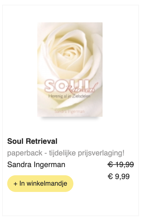 Soul Retrieval boek
