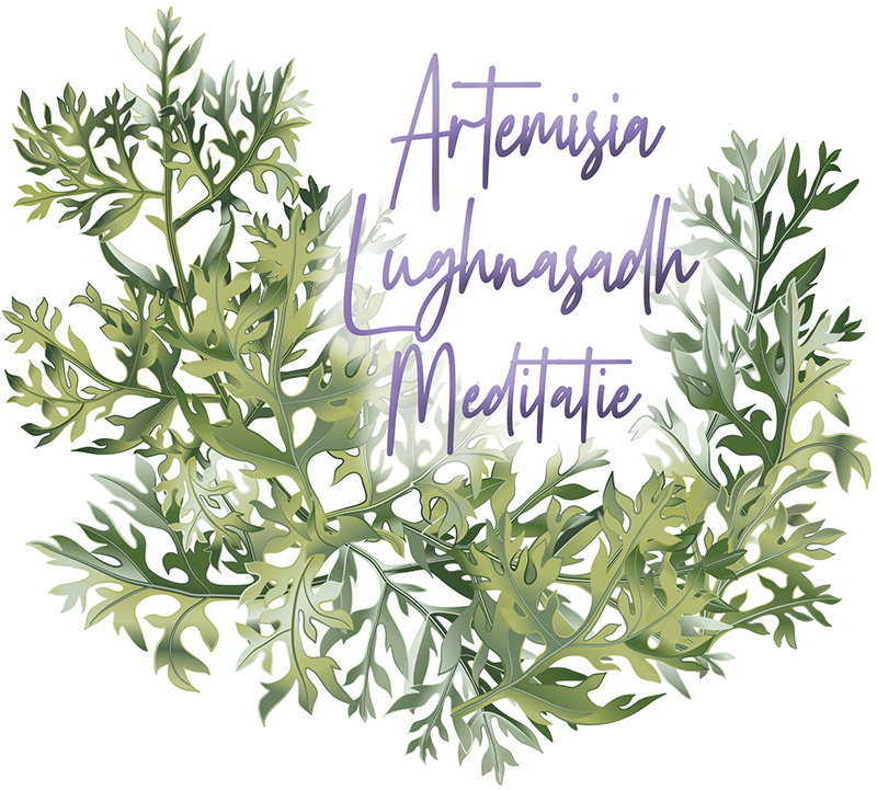 Artemisia Lughnasadh Meditatie
