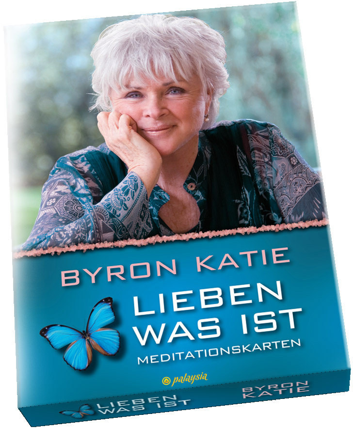 vier vragen box katie